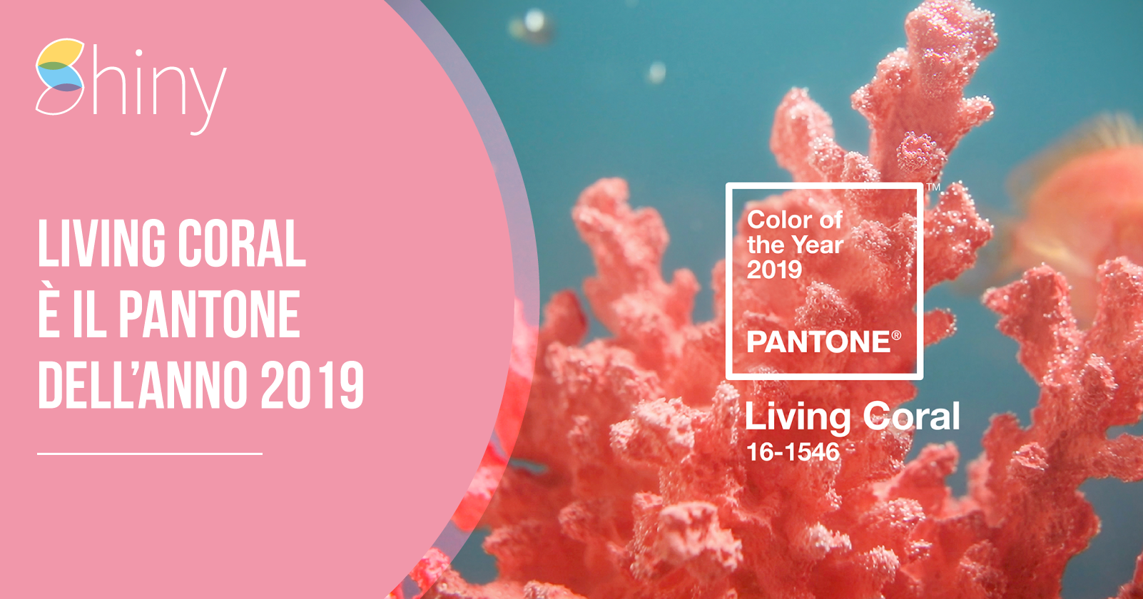 Living Coral è il Colore Pantone dell'anno 2019